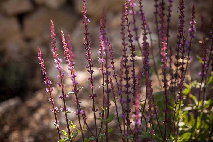 Ferienhaus für 4 Personen, mit Ausblick und Garten in Makarska - 4