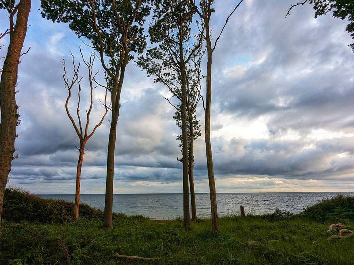 Ferienhaus für 4 Personen, mit Terrasse, kinderfreundlich auf Seeland - 3