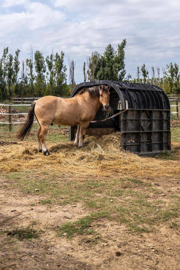 Location de vacances pour 6 personnes, avec jacuzzi ainsi que jardin et piscine à Saint-Génis-des-Fontaines - 4