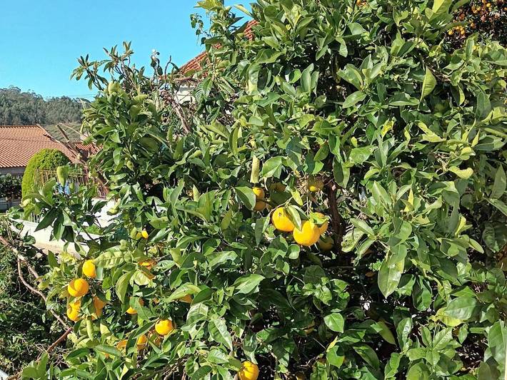 Gîte pour 2 personnes, avec balcon et vue à Leiria - 2