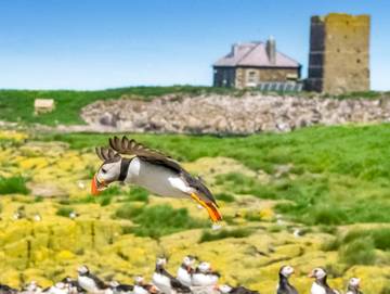 Cottage for 4 People in Beadnell, Northumberland Coast, Photo 3