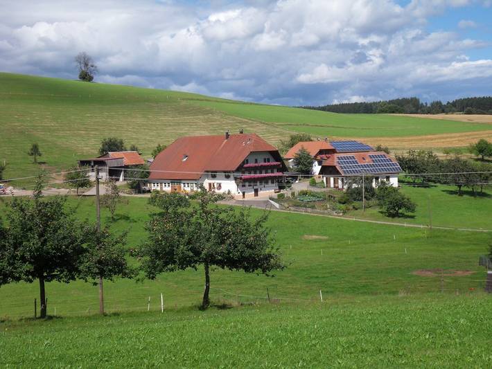 Bauernhof für 5 Personen, mit Terrasse und Garten in Elzach