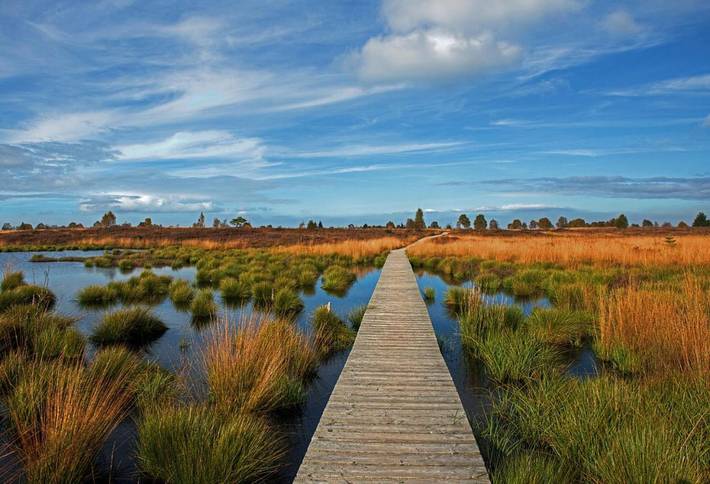 Gîte pour 2 personnes, avec jardin et vue, adapté aux familles dans Wévercé - 4