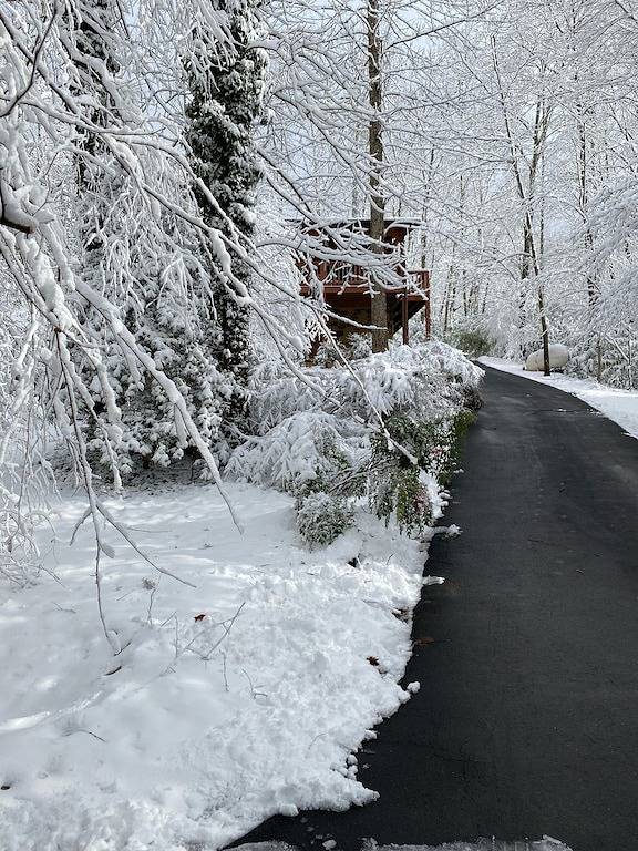 Endlich Ruhe und Frieden! in Cocke County