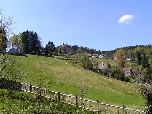 Gîte pour 6 personnes, avec jardin et sauna, adapté aux familles à Forbach - 2