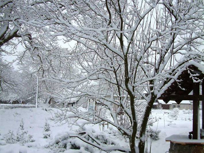 Ferienwohnung für 8 Personen, mit Terrasse und Garten sowie Seeblick, mit Haustier in Fuhlendorf - 2