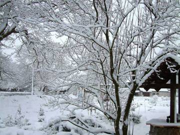 Ferienwohnung für 8 Personen in Bodstedt, Fuhlendorf, Bild 1