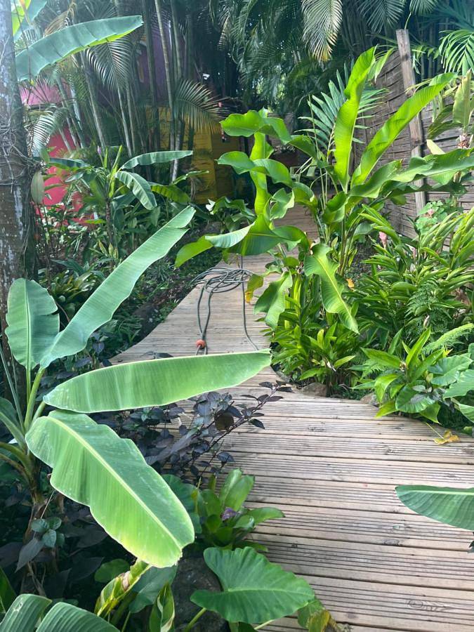 Maison d’hôte pour 2 personnes, avec vue ainsi que jardin et vue sur le lac en Guadeloupe - 4
