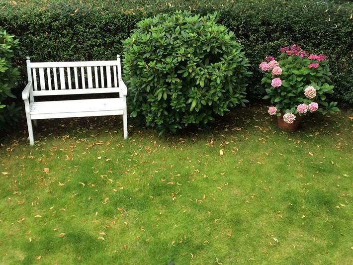 Ferienhaus für 3 Personen, mit Garten und Terrasse in Hamburg-Mitte - 3