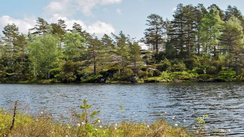 Ferienhaus für 10 Personen, mit Terrasse und Whirlpool sowie Sauna in Vest-Agder - 3
