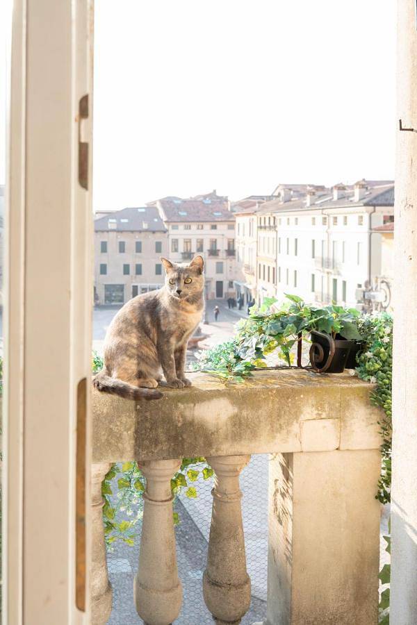 B&b per 2 persone, con panorama in Bassano del Grappa