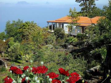 Holiday Rental for 6 People in Tijarafe, La Palma North, Photo 1