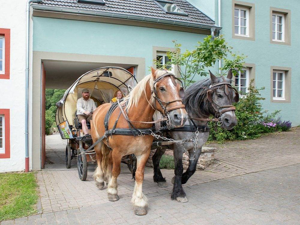 Nengshof - Appartement Vergissmeinnicht in Wißmannsdorf, Eifelkreis Bitburg-Prüm