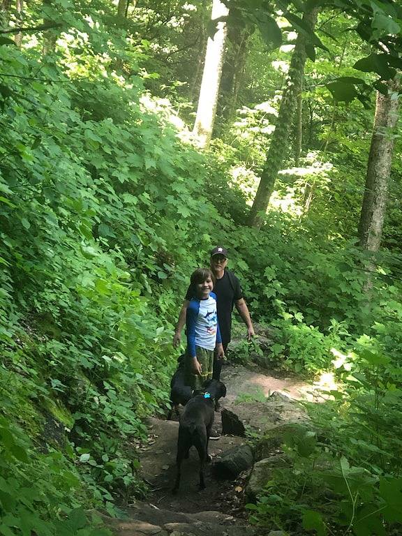 High Speed Fiber Optic Wifi; Tranquil Treehouse on 2.5 Acres; Affordable Luxury in Macon County