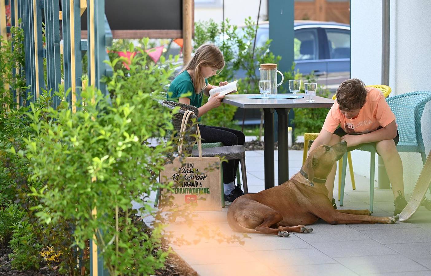 Ganze Wohnung, Gemütliche Erdgeschosswohnung mit überdachter Terrasse - ideal für 4-Beiner. in Friedrichshafen, Region Bodensee-Oberschwaben