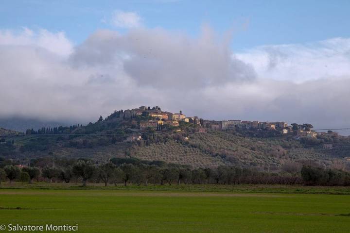 Ferienhaus für 7 Personen, mit Garten, mit Haustier in Castagneto Carducci - 2