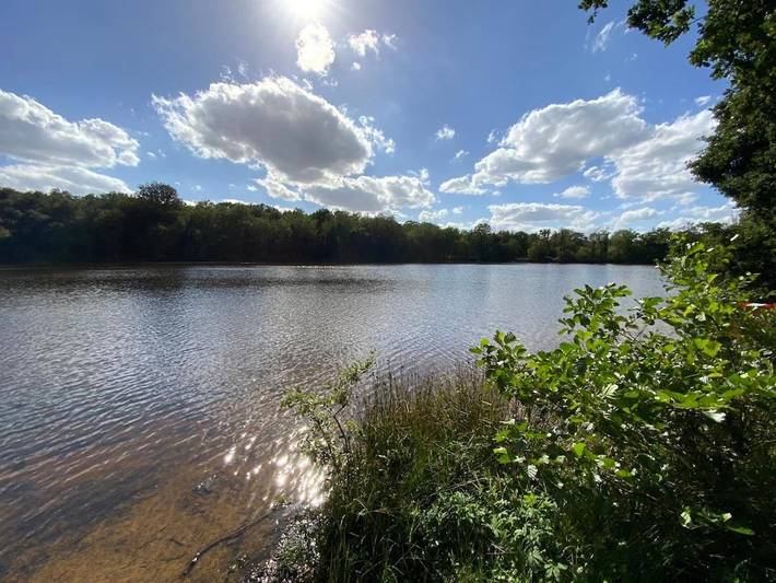 Location de vacances pour 6 personnes, avec jardin et vue, animaux acceptés à Signy-le-Petit - 3