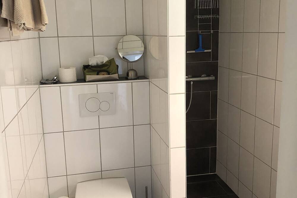 Ganze Wohnung, Toller Bergblick über das Tal von Lichtenstein, Wohnung am Hang in Gams, Wahlkreis Werdenberg