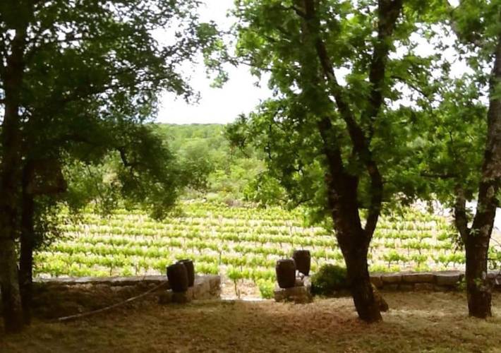 Location de vacances pour 2 personnes, avec vue et jardin à Saint-André-de-Cruzières - 3