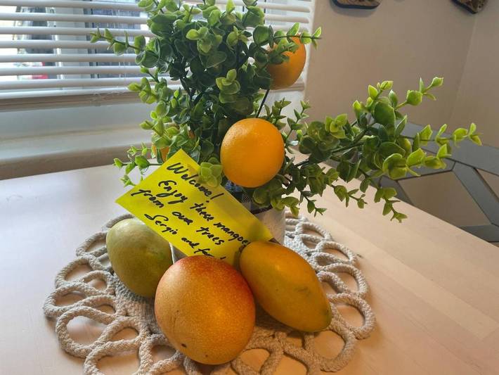 Maison d’hôte pour 4 personnes, avec terrasse et jardin à Miami - 3