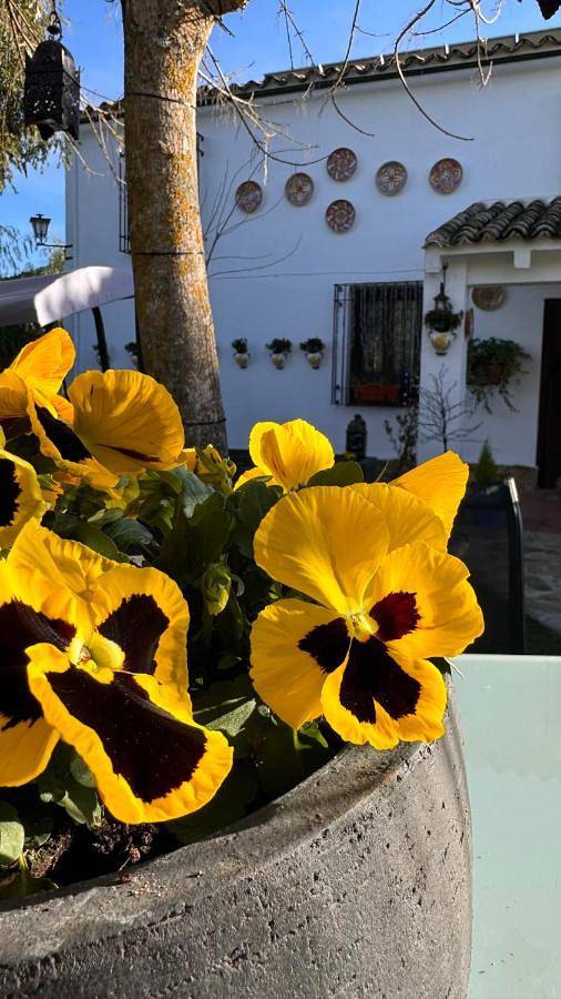 Casa de vacaciones para 10 personas, con jardín además de piscina y vistas en Parque Natural Sierras Subbéticas - 3