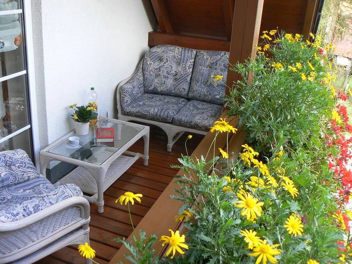 Ferienhaus für 6 Personen, mit Balkon und Garten im Vogtland - 2