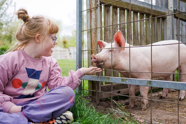 Bauernhof für 6 Personen, mit Garten im Altmühltal - 4