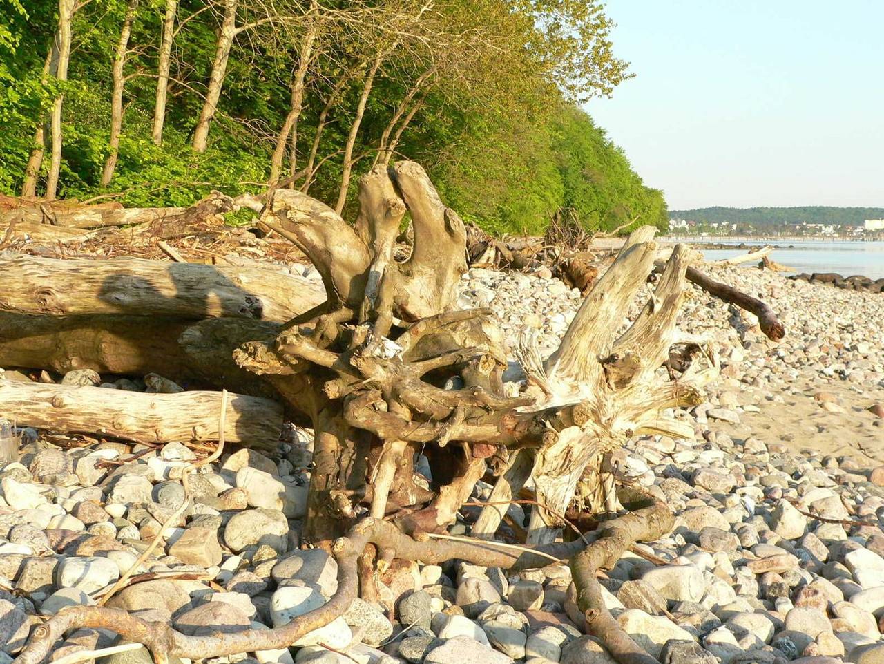 Ganze Ferienwohnung, Bungalow Nr. 9 & 10 Fahrradboxen verschließbar vorhanden! - Bungalow 9, Fahrradbox verschließbar vorhanden! in Binz, Rügen