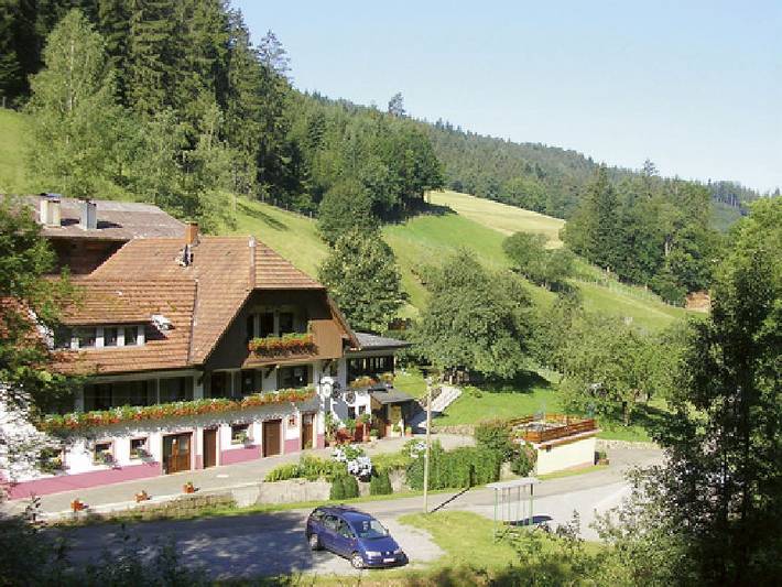 Pension pour 2 personnes, avec jardin et terrasse à Oberharmersbach - 3