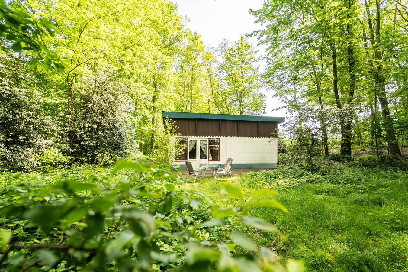 Bewaldetes 5-Personen-Ferienhaus in Drakendorp Beesel, Limburg in Beesel, Limburg (Niederlande)