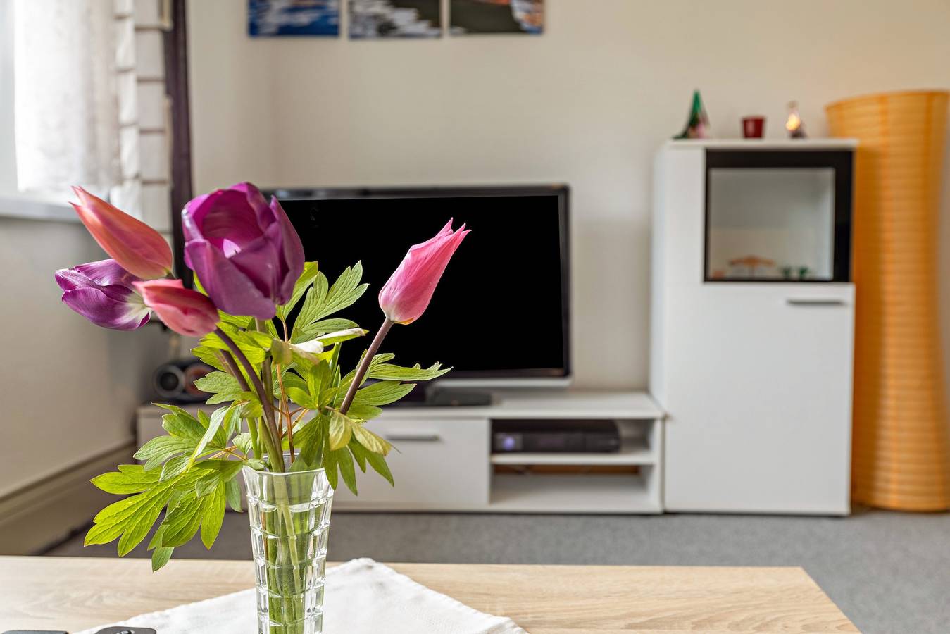 Ganze Wohnung, Ferienwohnung "Wiesenblick" mit Privatterrasse, Gemeinschaftsgarten und Wlan in Radolfzell, Radolfzell am Bodensee