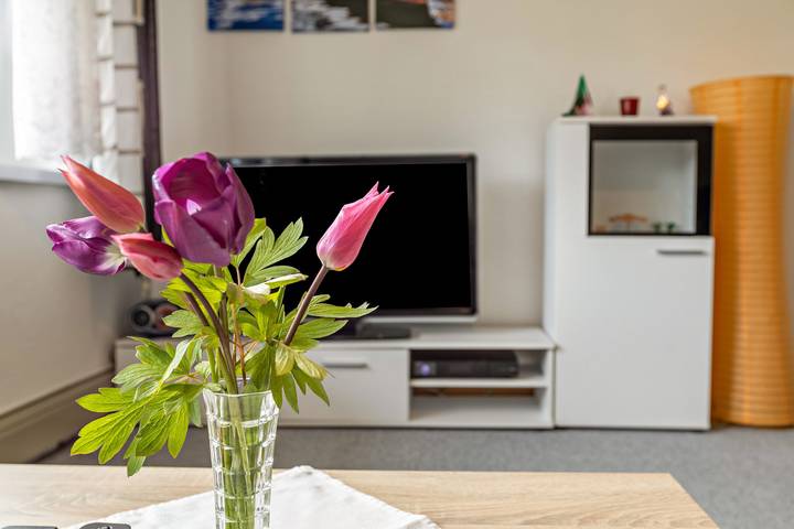 Ferienwohnung für 4 Personen, mit Garten in Untersee - 3