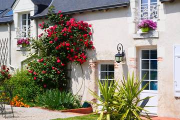Gîte pour 6 personnes, avec piscine et terrasse ainsi que jacuzzi et jardin dans le Loir-et-Cher