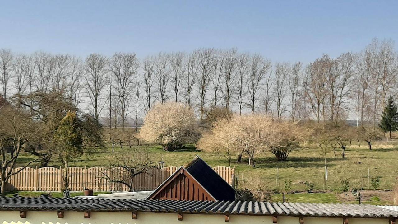 Ganze Wohnung, Ferienwohnung im Zanderhaus in Laage, Mecklenburgische Ostseeküste