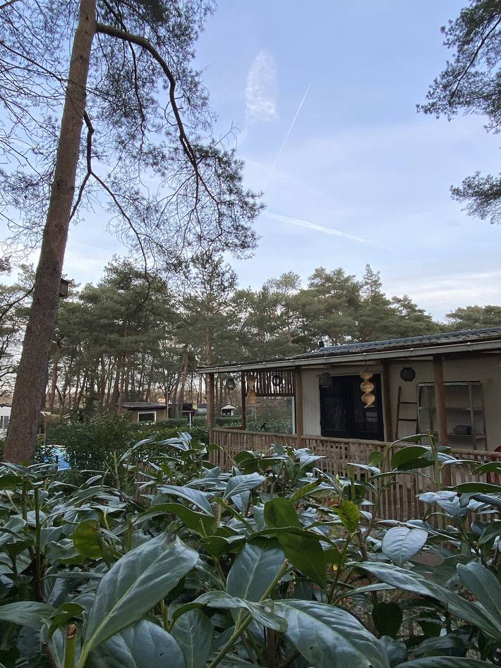 Ferienhaus für 6 Personen, mit Pool und Garten, mit Haustier
