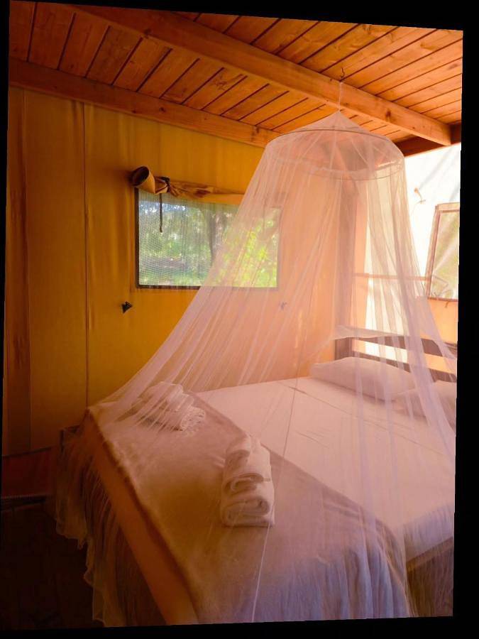 Camping für 5 Personen, mit Ausblick und Garten, mit Haustier auf Elba - 2