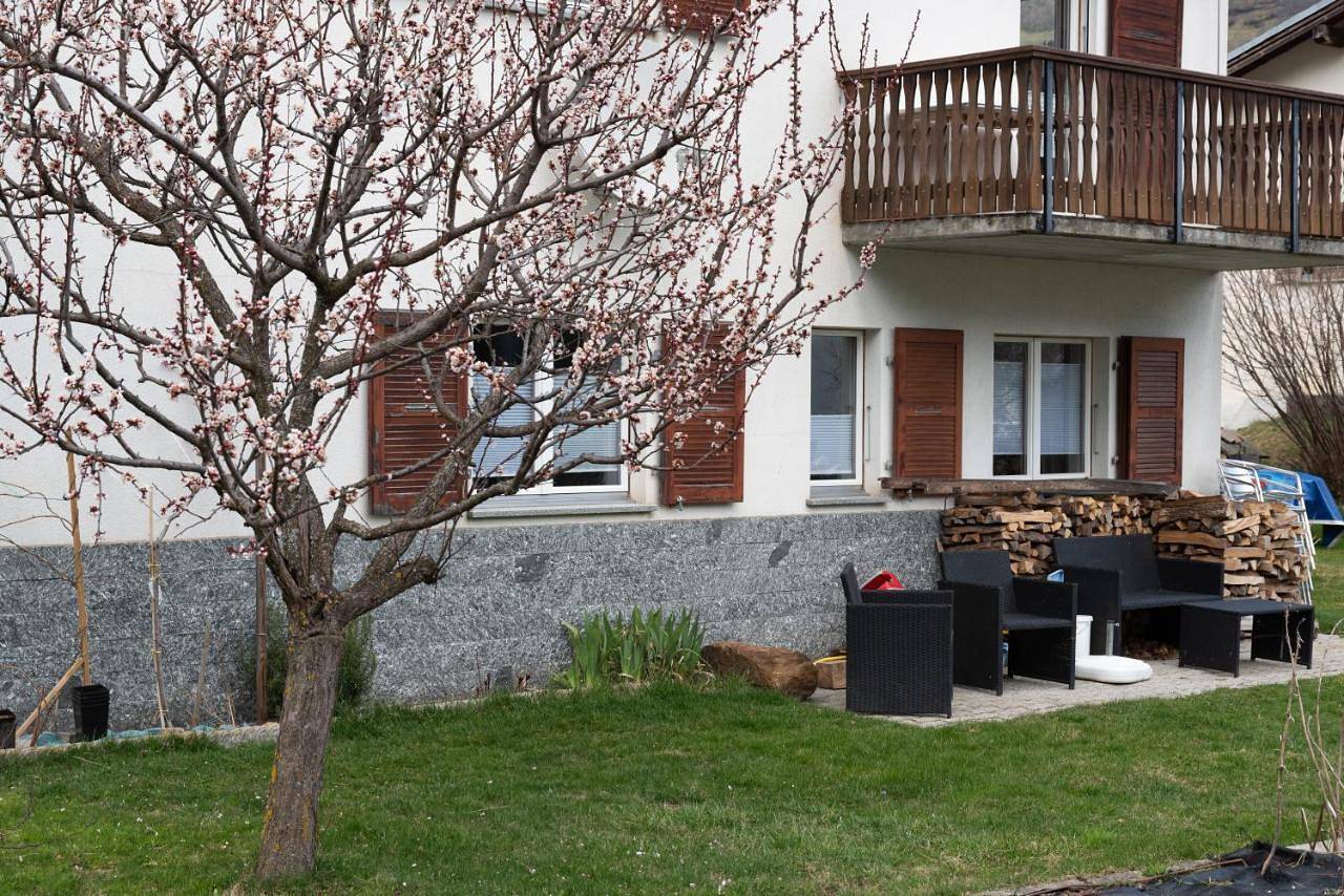 Ganze Wohnung, One-Bedroom Apartment in S. Antonio (Poschiavo), Poschiavo