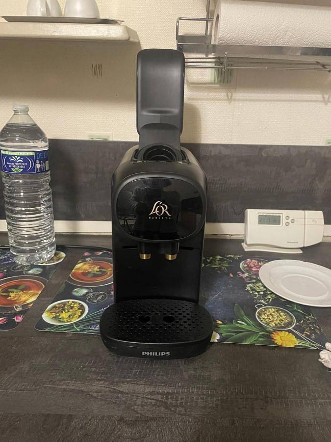 Gîte pour 4 personnes, avec jardin et vue à Tournus - 4