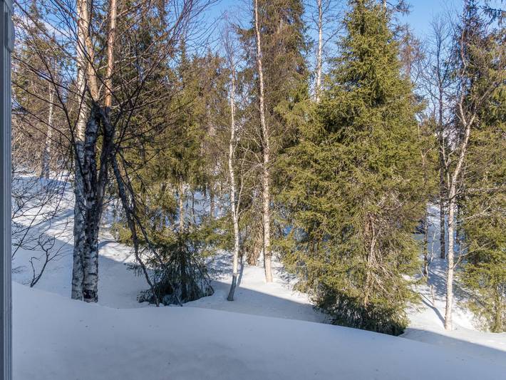 Nelikko a in Saarua, Nordösterbotten