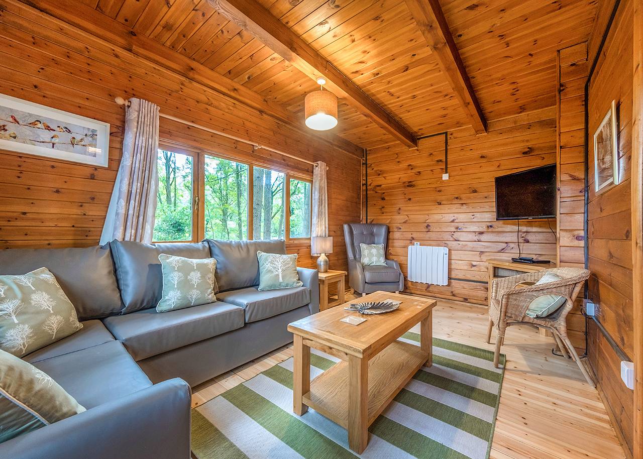 Woodland Hawthorn Lodge in Shropshire