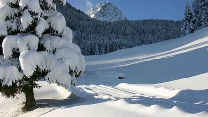 Apartament Wakacyjny dla 4 osoby w Nauders, Tyrol Oberland, Zdjęcie 3