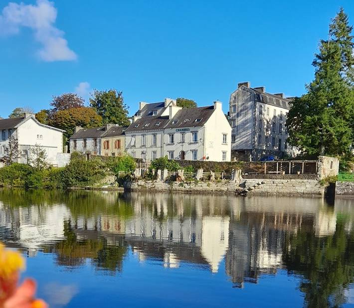 Gîte pour 15 personnes, avec vue sur le lac ainsi que jardin et terrasse, animaux acceptés - 1