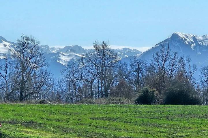 Location de vacances pour 6 personnes, avec jardin, animaux acceptés à Cardeilhac