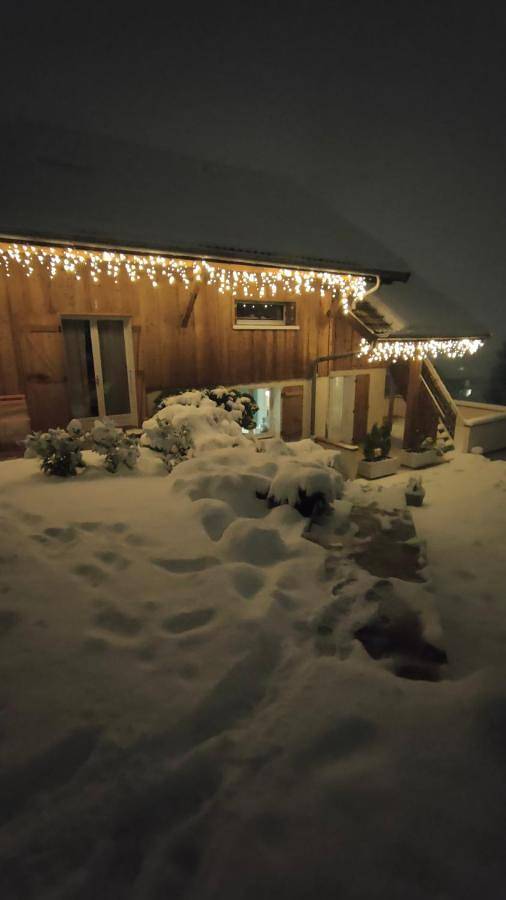 Chalet pour 4 personnes, avec vue sur le lac ainsi que jardin et vue sur le Lac d'Annecy - 4