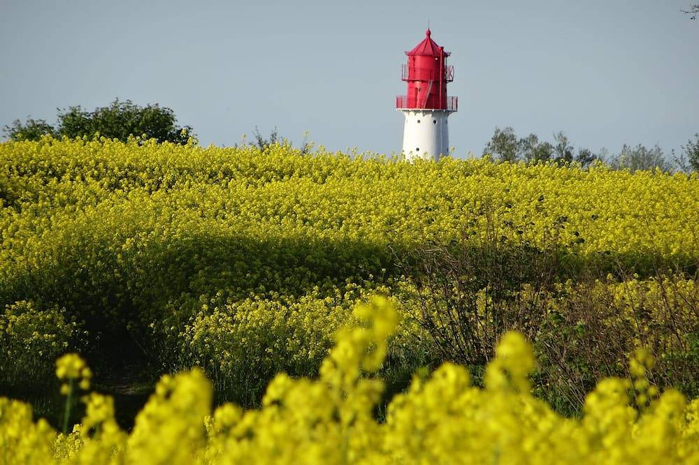 Ganze Wohnung, Holidays by the sea in a historic thatched house: Wifi, 2 Smart Tvs, sauna from 2022 in Geltinger Birk, Pommerby