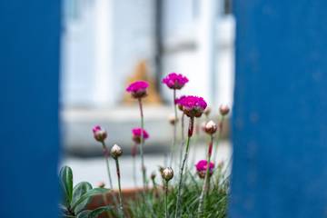 Holiday Home for 5 People in Port Isaac, Pentire Point - Widemouth, Photo 3