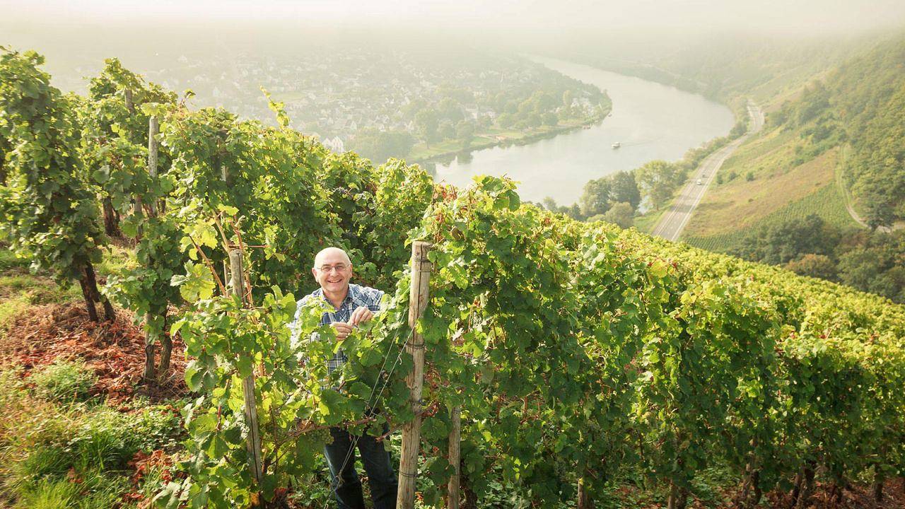 Ganze Ferienwohnung, Ferienwohnung für 4 Personen (80 m²) in Neumagen-Dhron in Neumagen-Dhron, Bernkastel-Kues & Umgebung