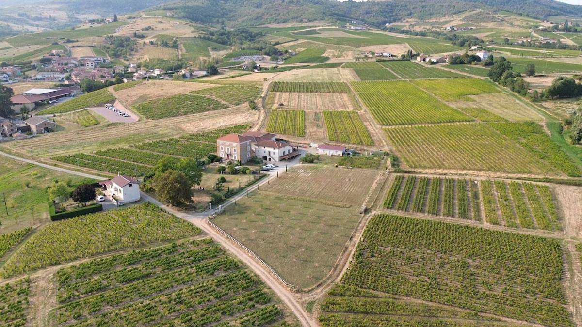 Le Lodge des Loges - Grand Gîte 13 personnes 5 chambres au coeur du Beaujolais in Le Perréon, Beaujolais
