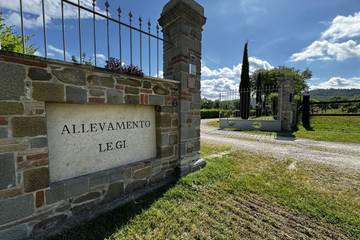Glamping per 4 Persone in Bucine (Gemeinde), Chianti, Foto 1