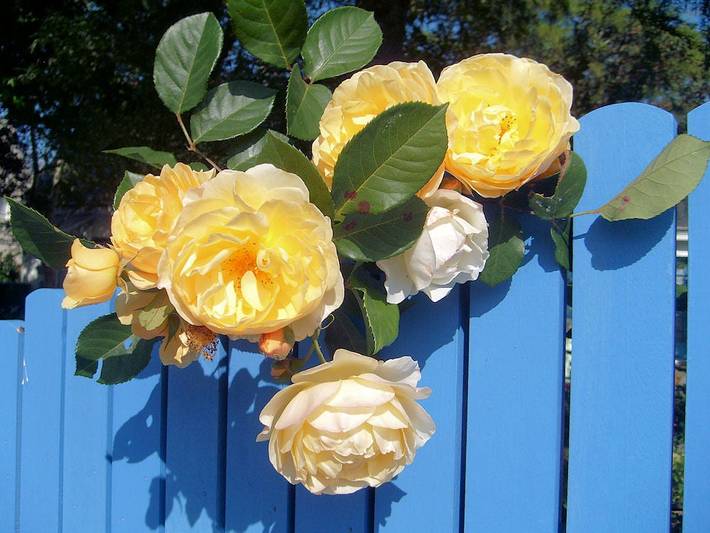 Chambre d’hôte pour 3 personnes, avec jardin dans les Pays de la Loire - 3